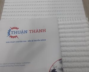 BĂNG TẢI NHỰA TRONG NGHÀNH THỦY SẢN