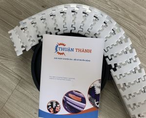 BĂNG TẢI XƯƠNG CÁ