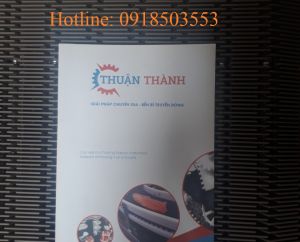BĂNG TẢI THANH TRÙNG TRONG NGHÀNH BIA NƯỚC NGỌT