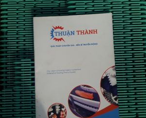 BĂNG TẢI THANH TRÙNG NGHÀNH BIA
