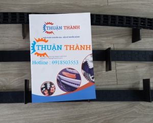 Băng tải nhựa nghành dược 