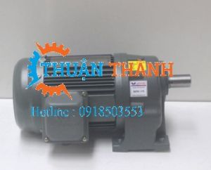 Motor giảm tốc cốt dương dạng chân đế