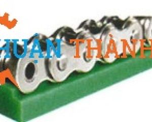 RAY DẪN HƯỚNG XÍCH 1